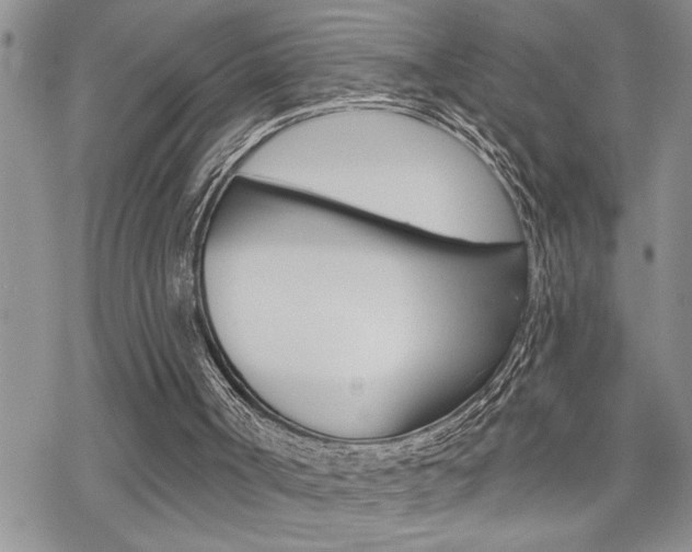 X0000070340002200606090814