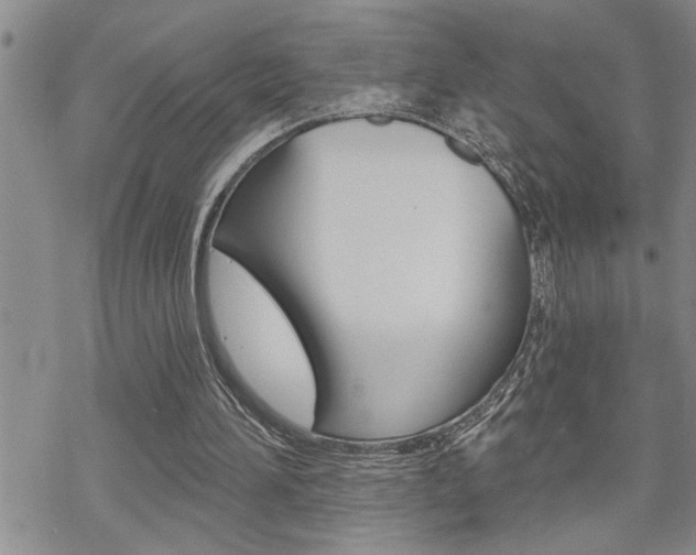 X0000070340196200606090811