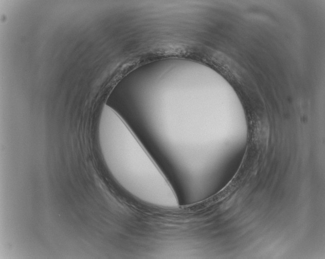 X0000070340643200606090804