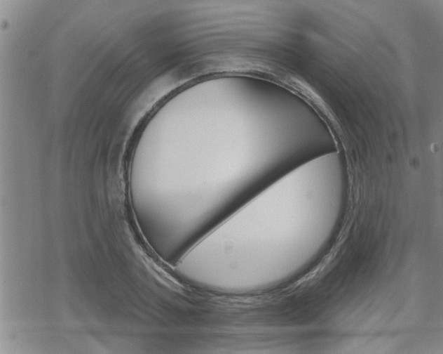 X0000070340787200606090802
