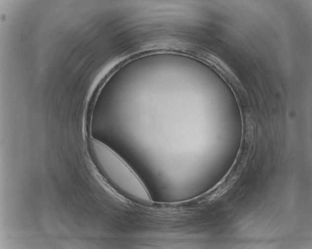 X0000070340788200606090802