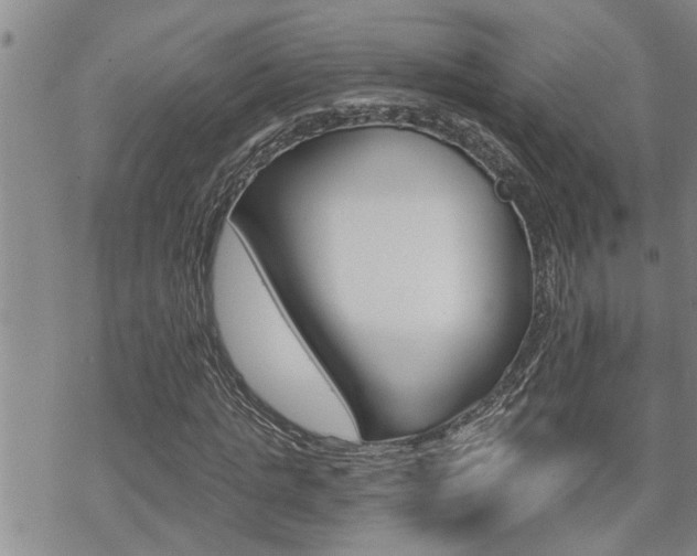 X0000070340821200606090801