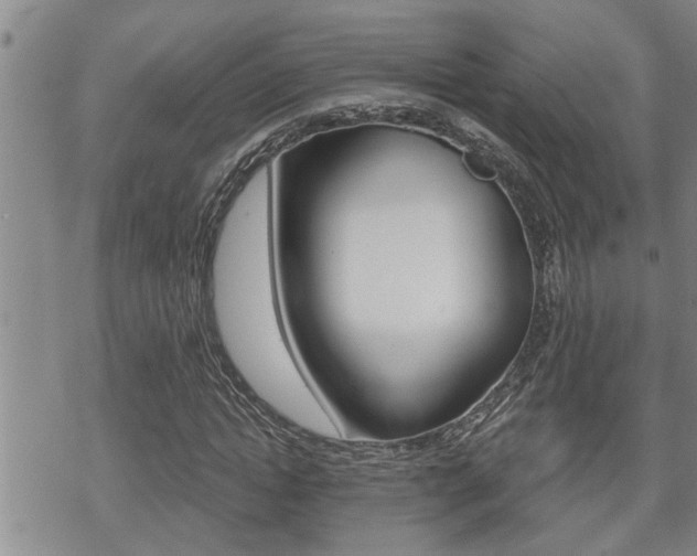 X0000070340822200606090801