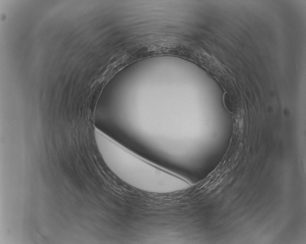 X0000070341012200606090757