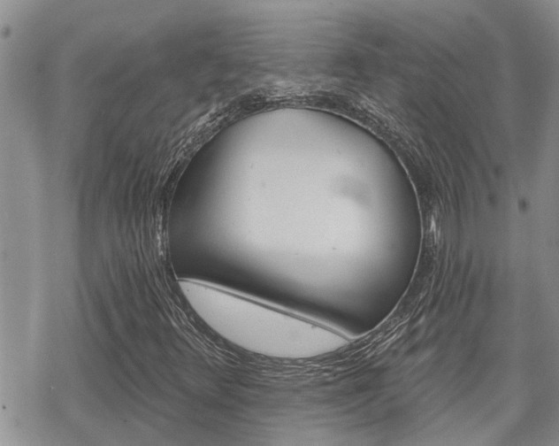 X0000070341348200606090753