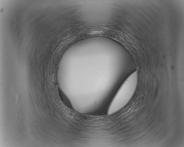 X0000070341441200606090751