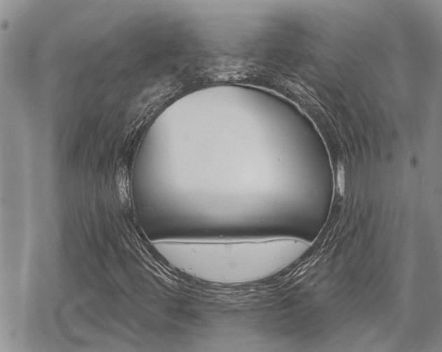 X0000070341444200606090751