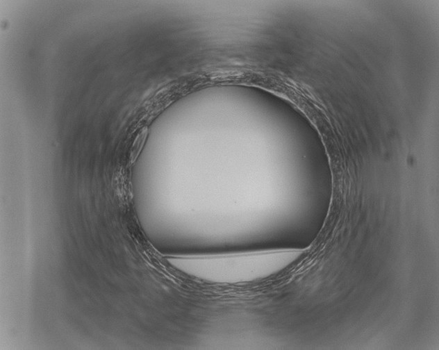 X0000070341445200606090751