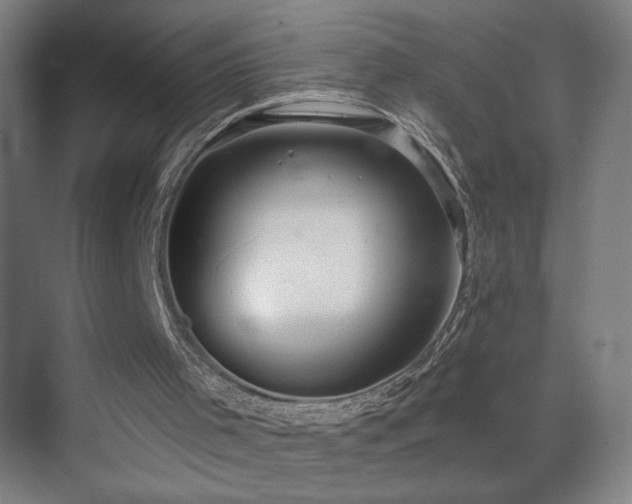 X0000070340001200606091038