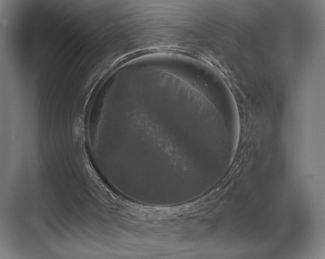 X0000070340002200606091038