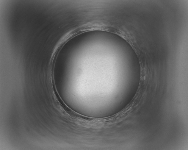 X0000070340004200606091038