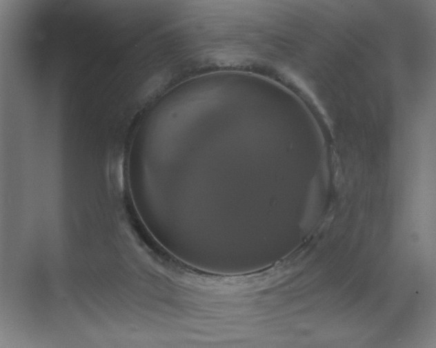 X0000070340019200606091038