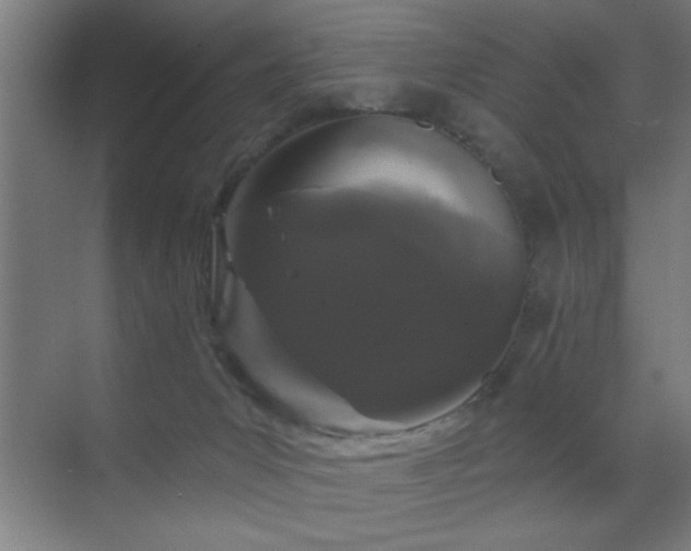 X0000070340031200606091038