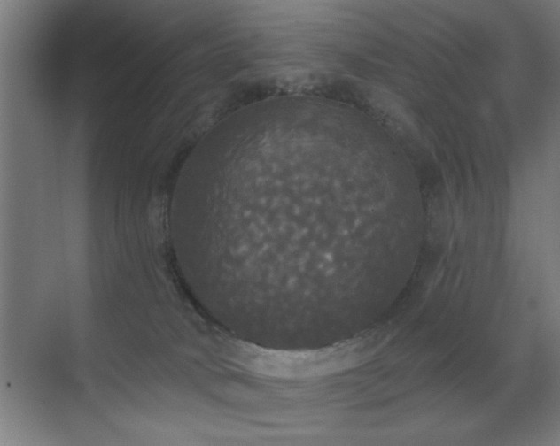 X0000070340034200606091038
