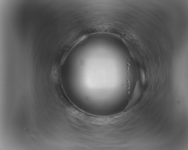 X0000070340037200606091038