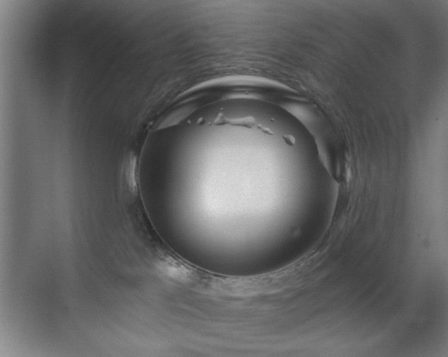 X0000070340041200606091037