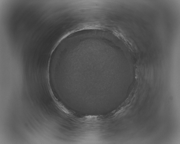 X0000070340052200606091037
