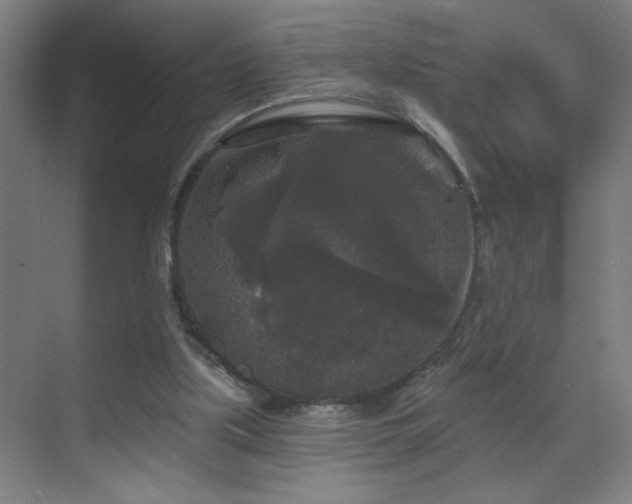 X0000070340059200606091037