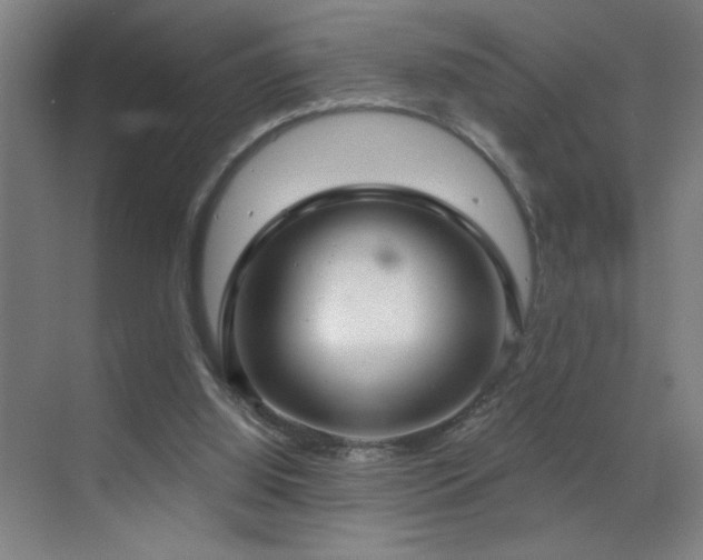 X0000070340060200606091037