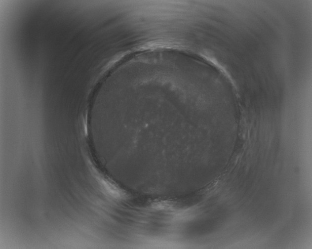 X0000070340062200606091037
