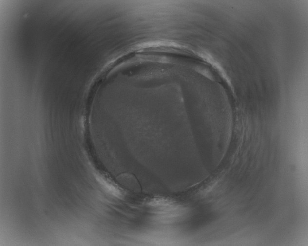 X0000070340063200606091037