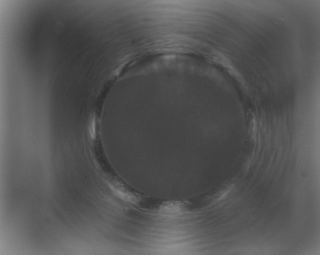 X0000070340076200606091037