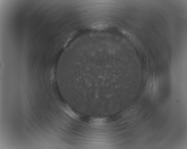 X0000070340081200606091037