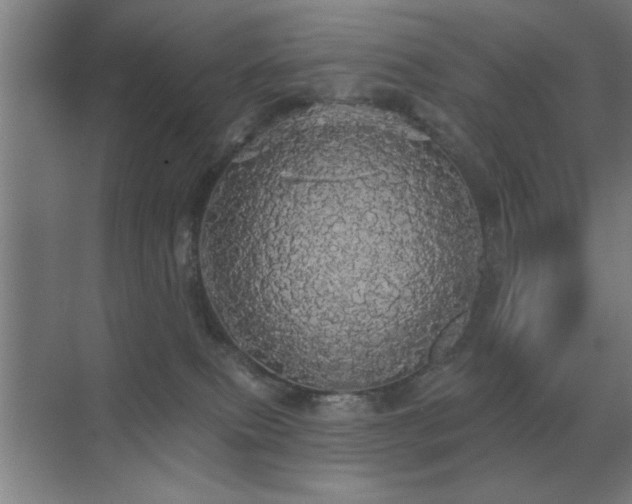 X0000070340087200606091037