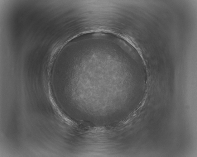 X0000070340097200606091037