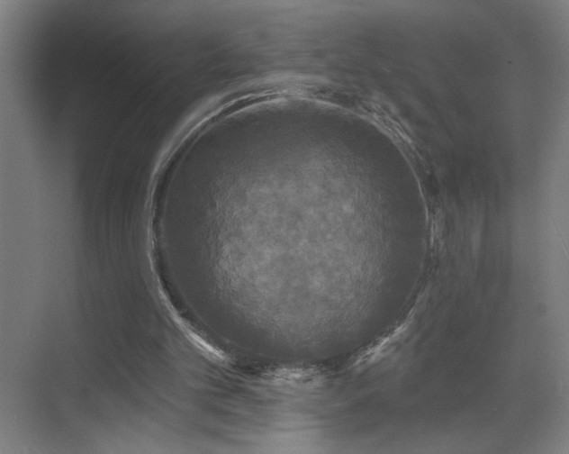 X0000070340101200606091036