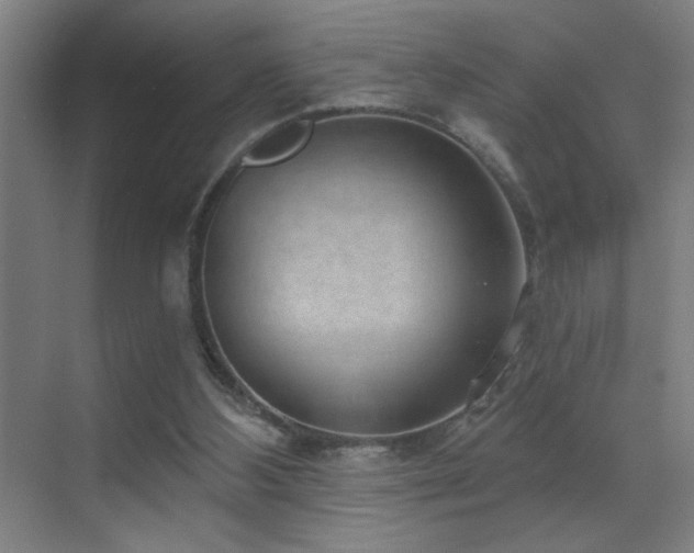 X0000070340108200606091036