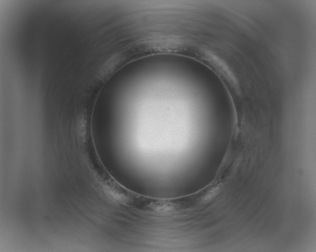 X0000070340113200606091036