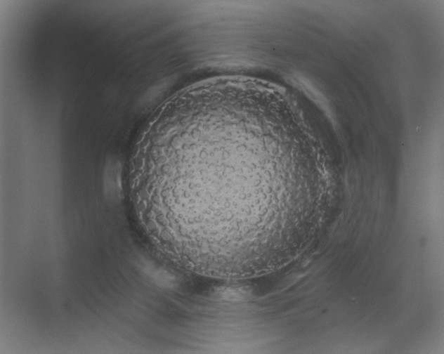 X0000070340115200606091036