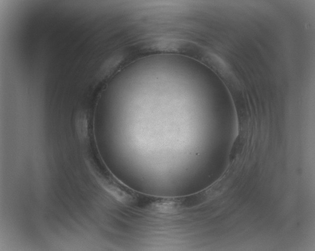 X0000070340120200606091036