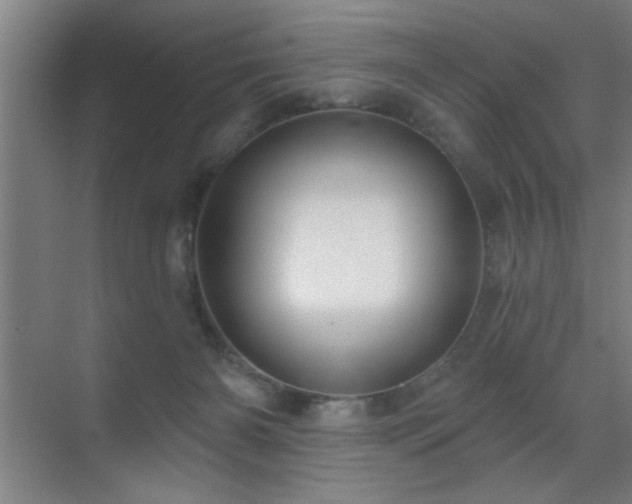 X0000070340126200606091036