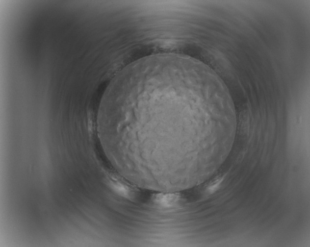 X0000070340135200606091036