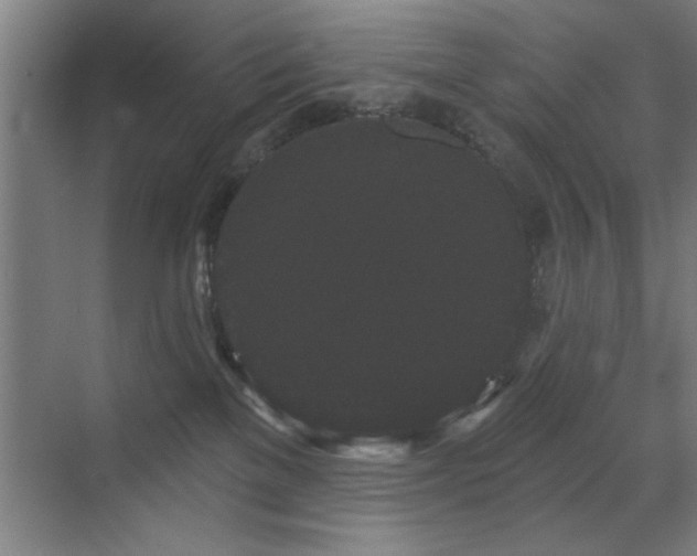 X0000070340137200606091036