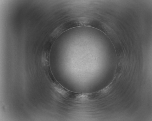 X0000070340140200606091036