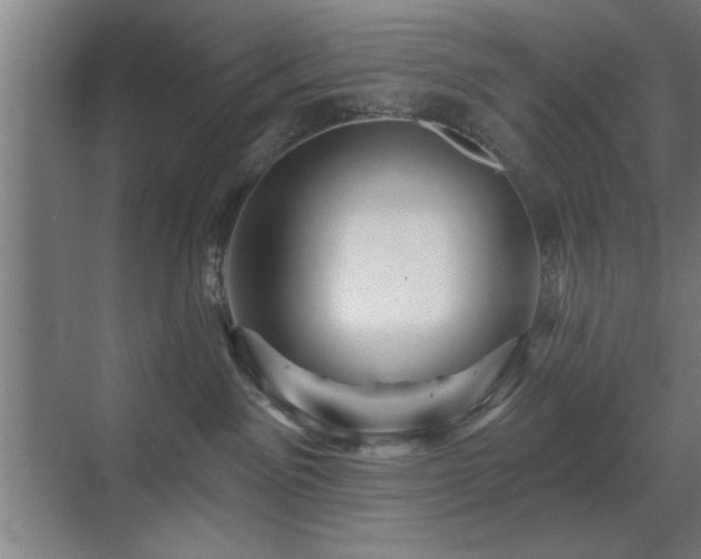 X0000070340141200606091036