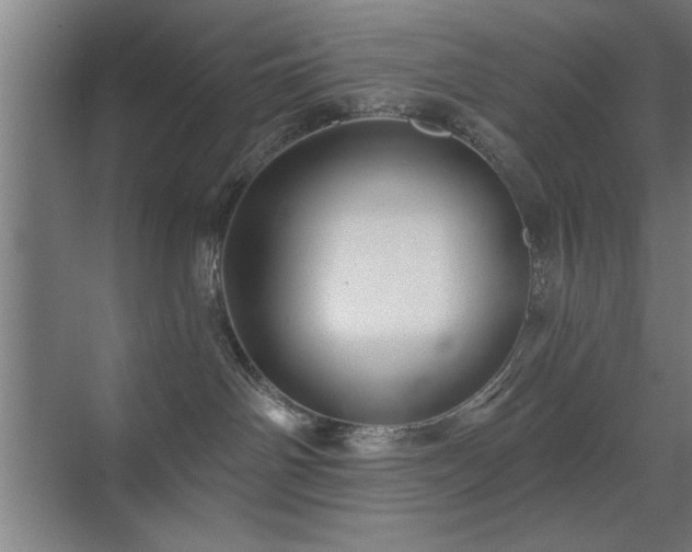 X0000070340142200606091036