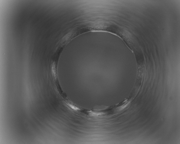 X0000070340143200606091036