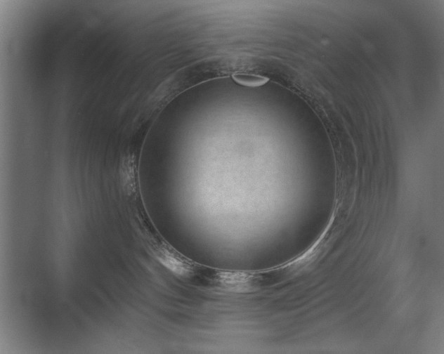 X0000070340144200606091036