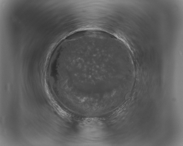 X0000070340145200606091035