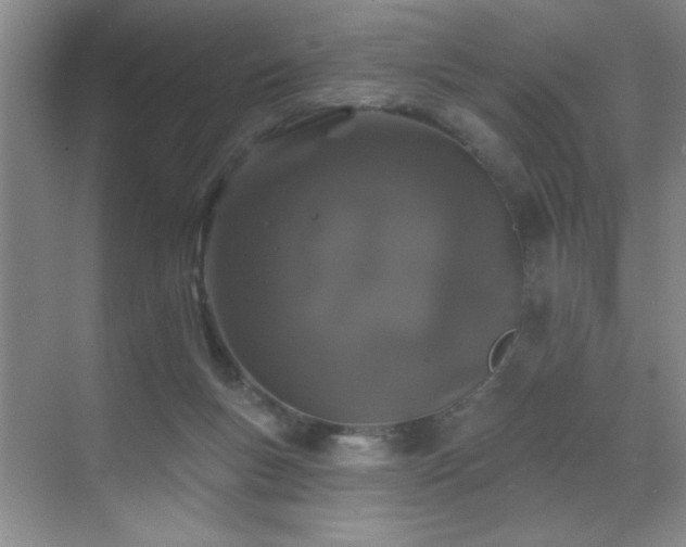 X0000070340167200606091035