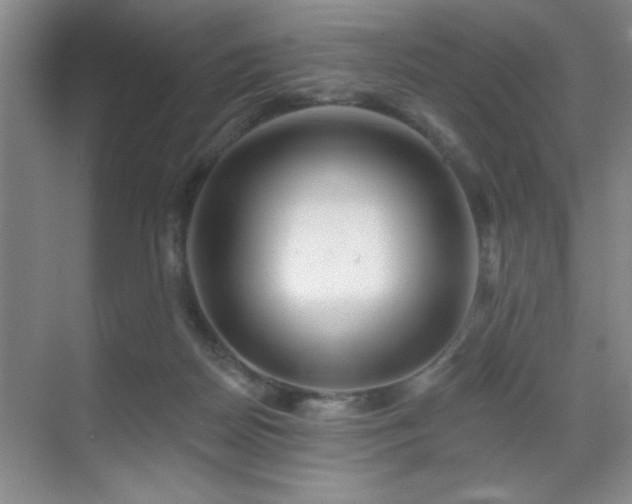 X0000070340170200606091035