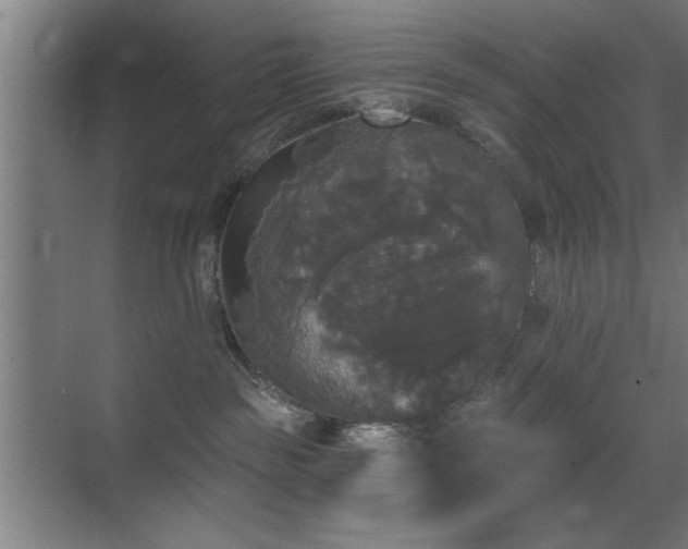 X0000070340189200606091036