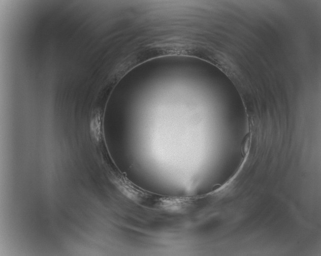 X0000070340190200606091036