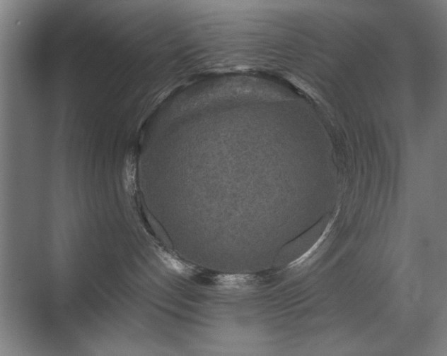 X0000070340192200606091036