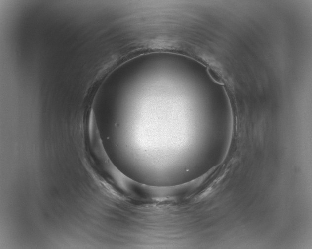X0000070340201200606091035