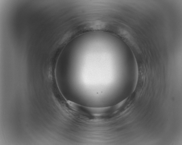 X0000070340212200606091035